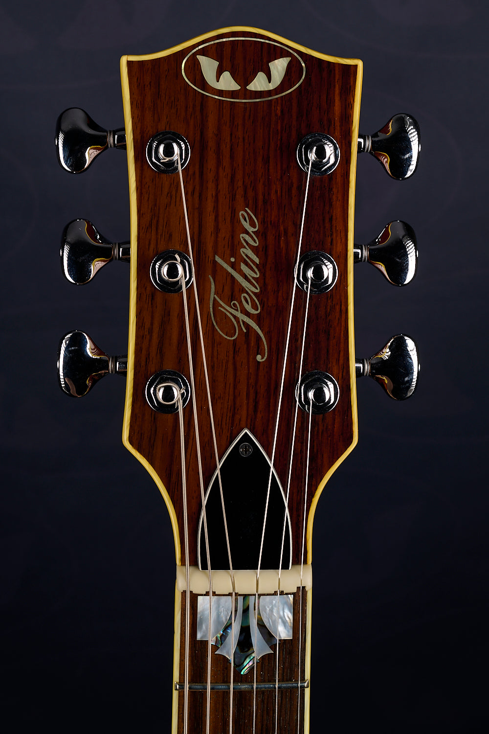 Feline 25th Anniversary Lion – Flattop No.5 Package