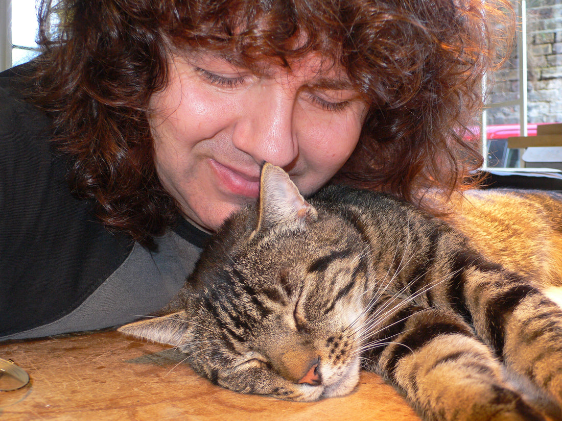 Welcome to the new Feline Guitars website