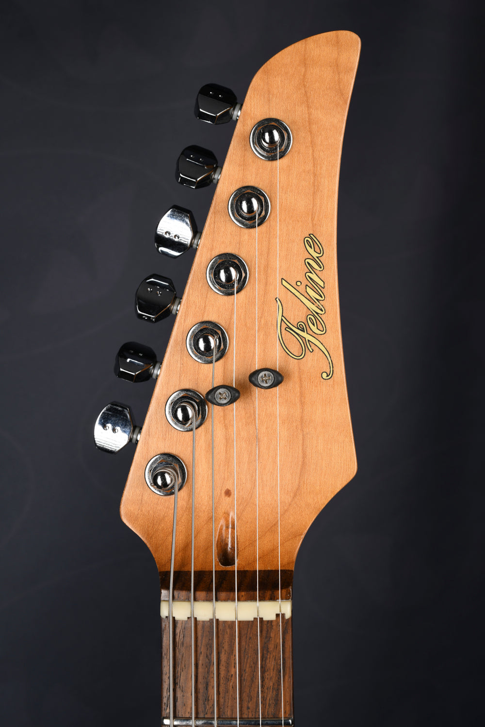 Feline alder S-type roasted maple neck relic charcoal burst