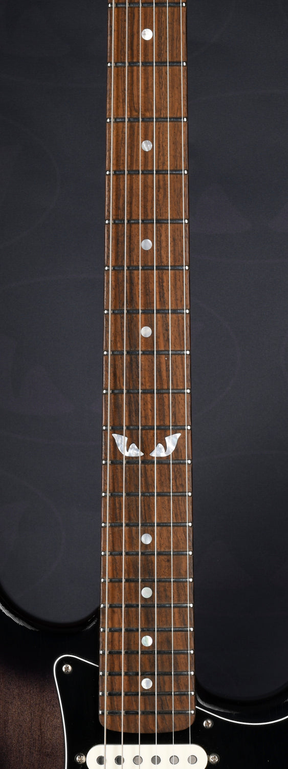 Feline alder S-type roasted maple neck relic charcoal burst