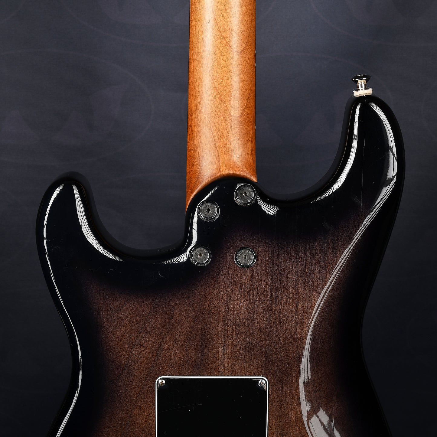 Feline alder S-type roasted maple neck relic charcoal burst