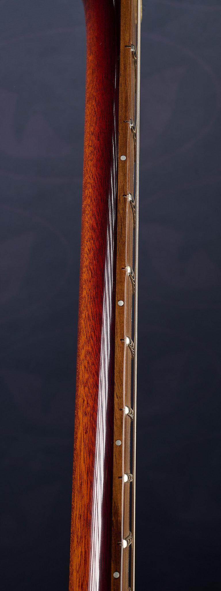 Lion DropTop - Mahogany