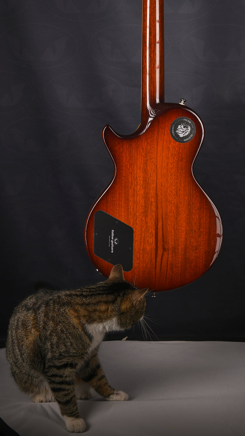 Feline Lion Special mahogany -secondhand (ex Feline boss)