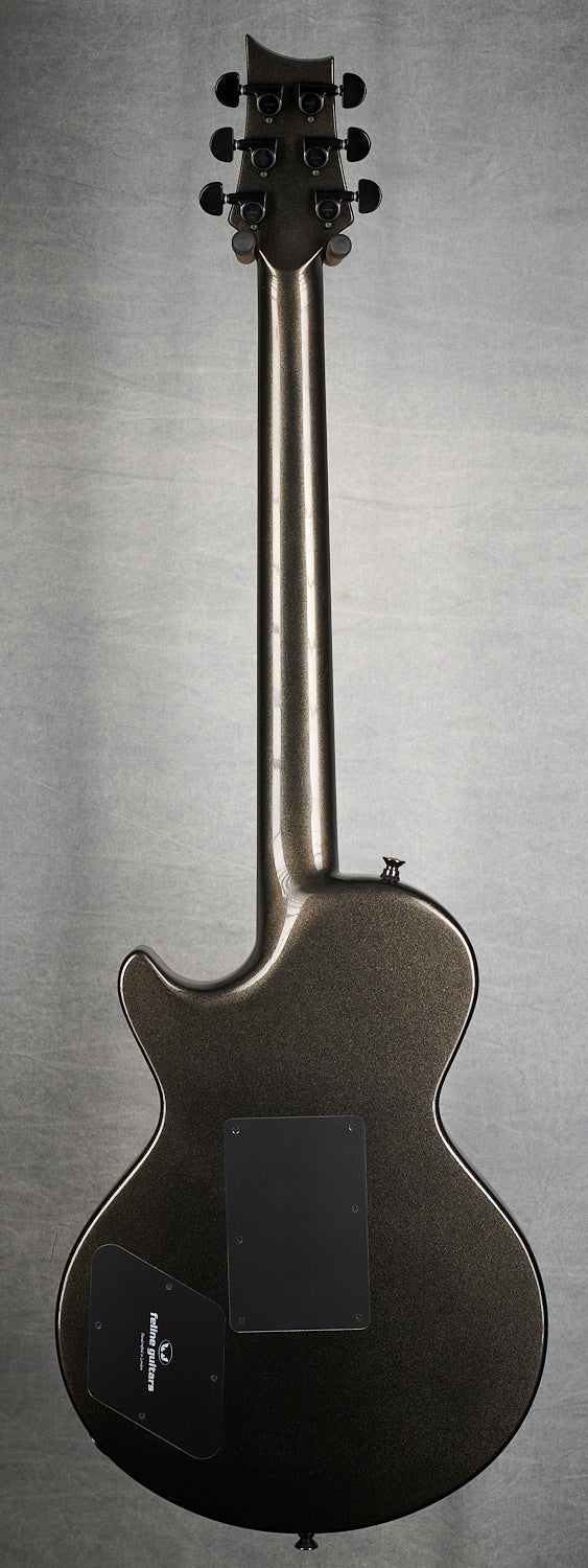Feline Lion Special FLOYD ROSE