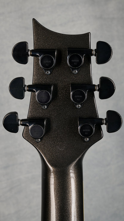 Feline Lion Special FLOYD ROSE