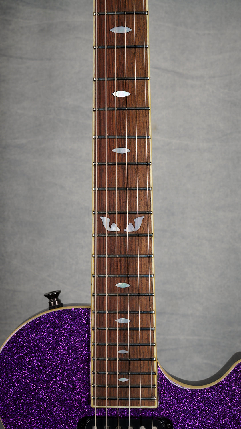 Feline Lion Special FLOYD ROSE