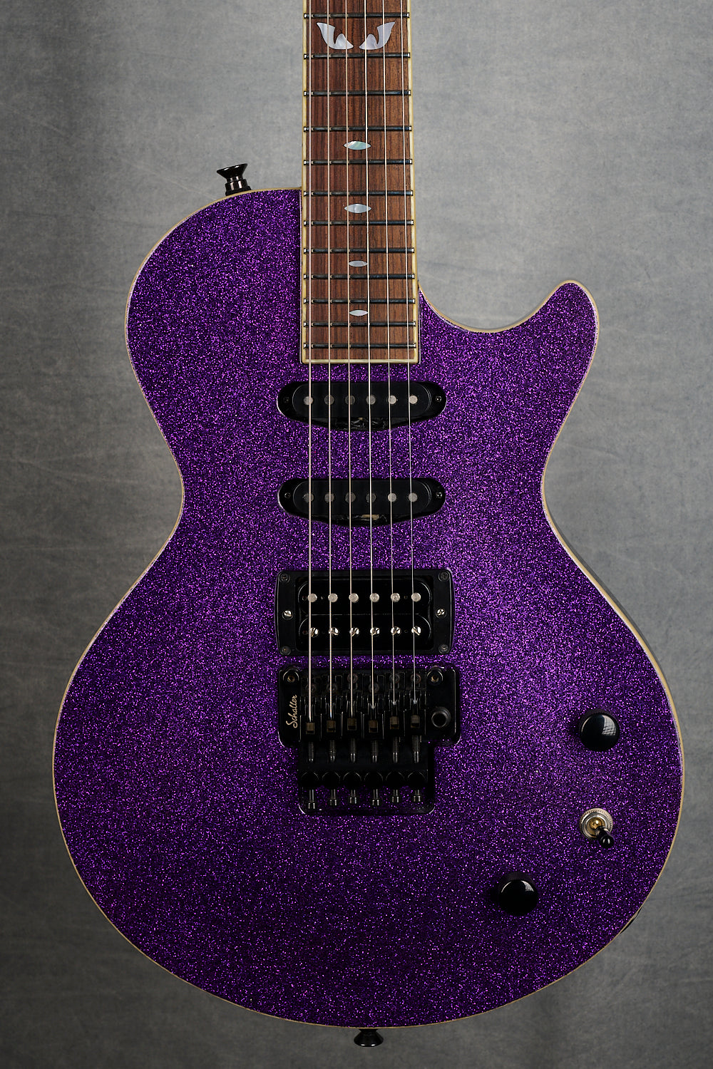 Feline Lion Special FLOYD ROSE