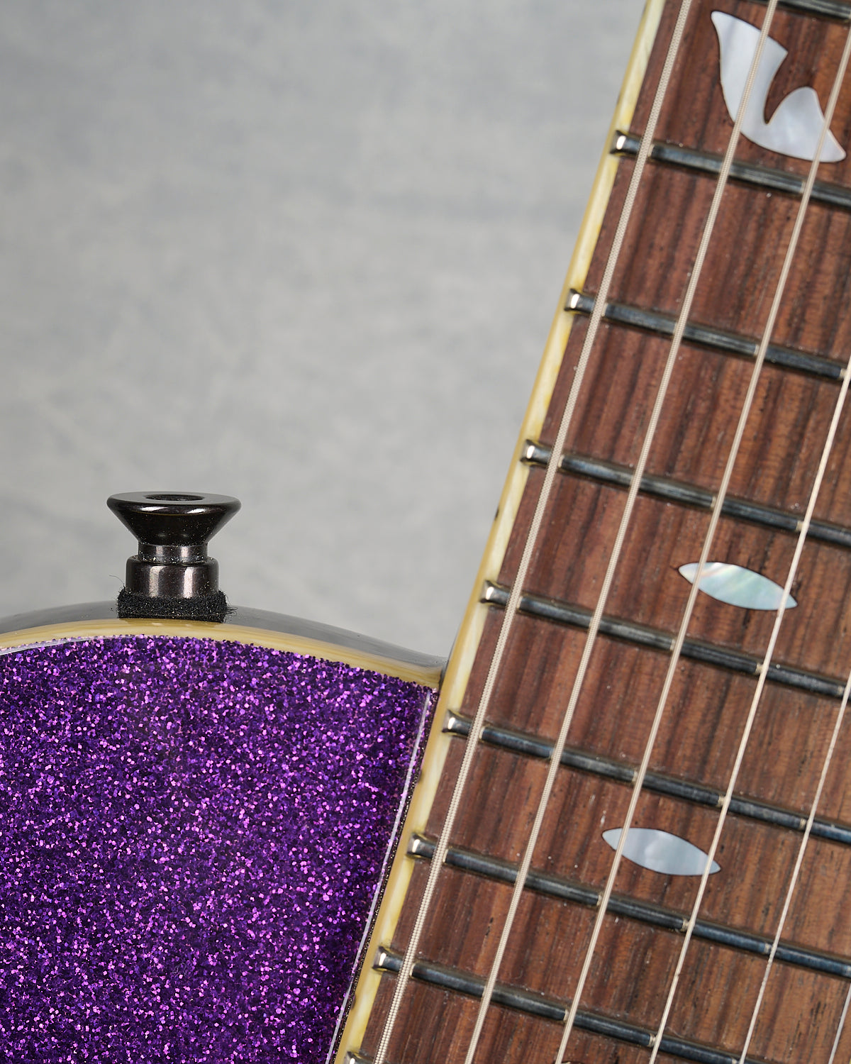 Feline Lion Special FLOYD ROSE