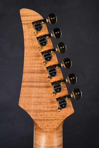 TABBY HYBRID HARDTAIL - ROASTED MAPLE NECK