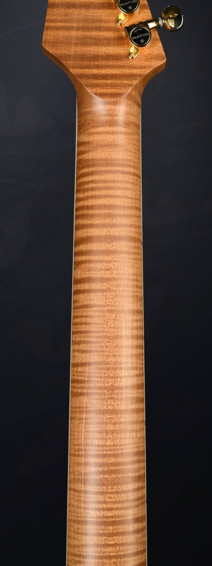 TABBY HYBRID HARDTAIL - ROASTED MAPLE NECK