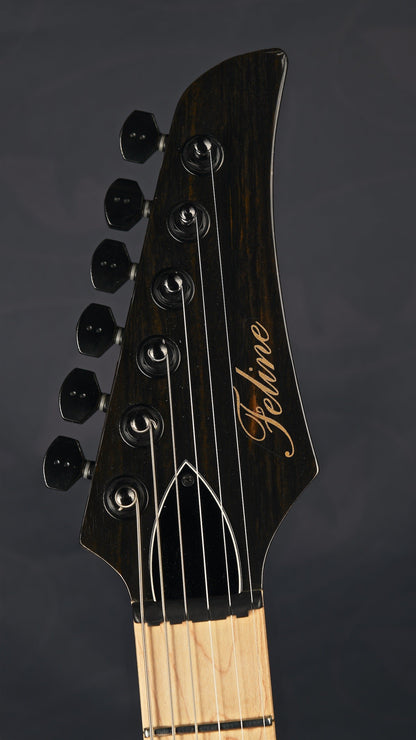 Feline Guitars Tabby Special GT Edition