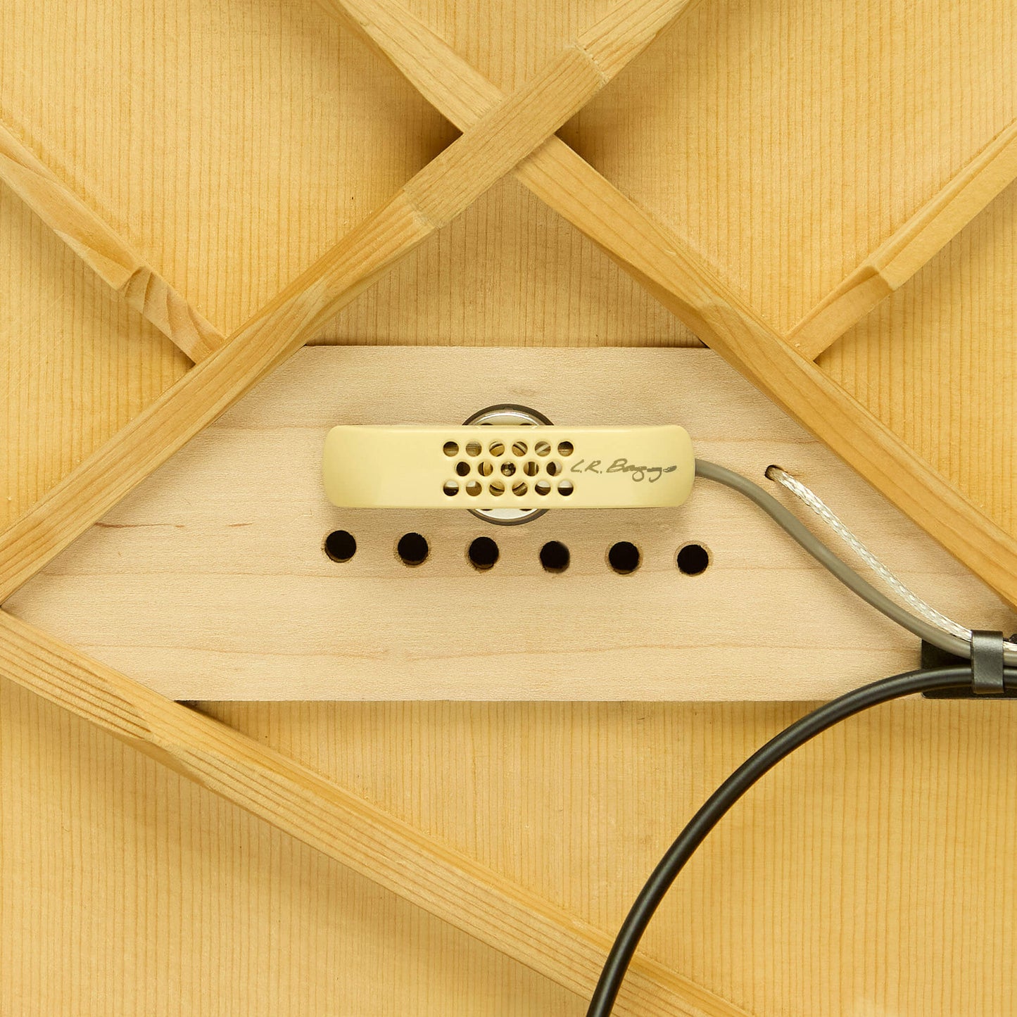 LR BAGGS ANTHEM  Acoustic pickup system
