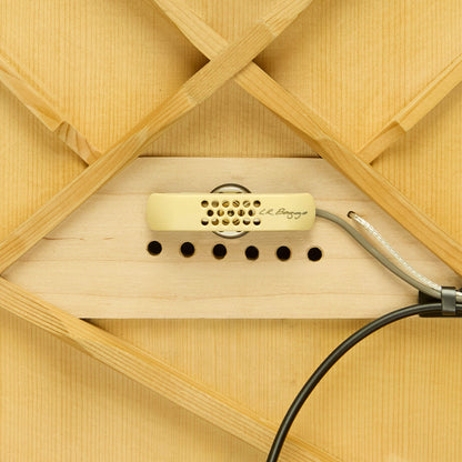 LR BAGGS ANTHEM  Acoustic pickup system