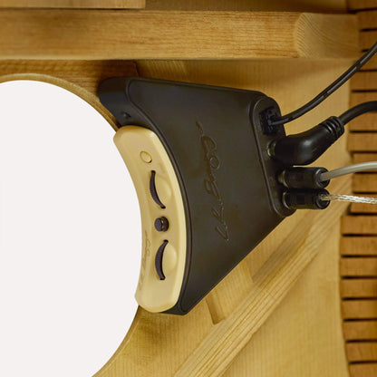 LR BAGGS ANTHEM  Acoustic pickup system