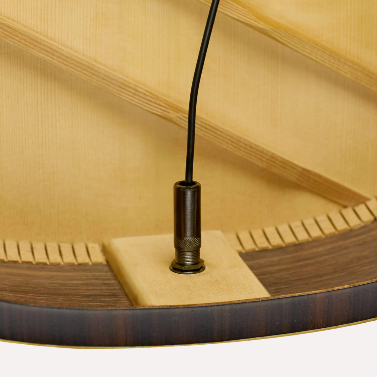 LR BAGGS ANTHEM  Acoustic pickup system