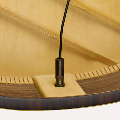 LR BAGGS ANTHEM  Acoustic pickup system