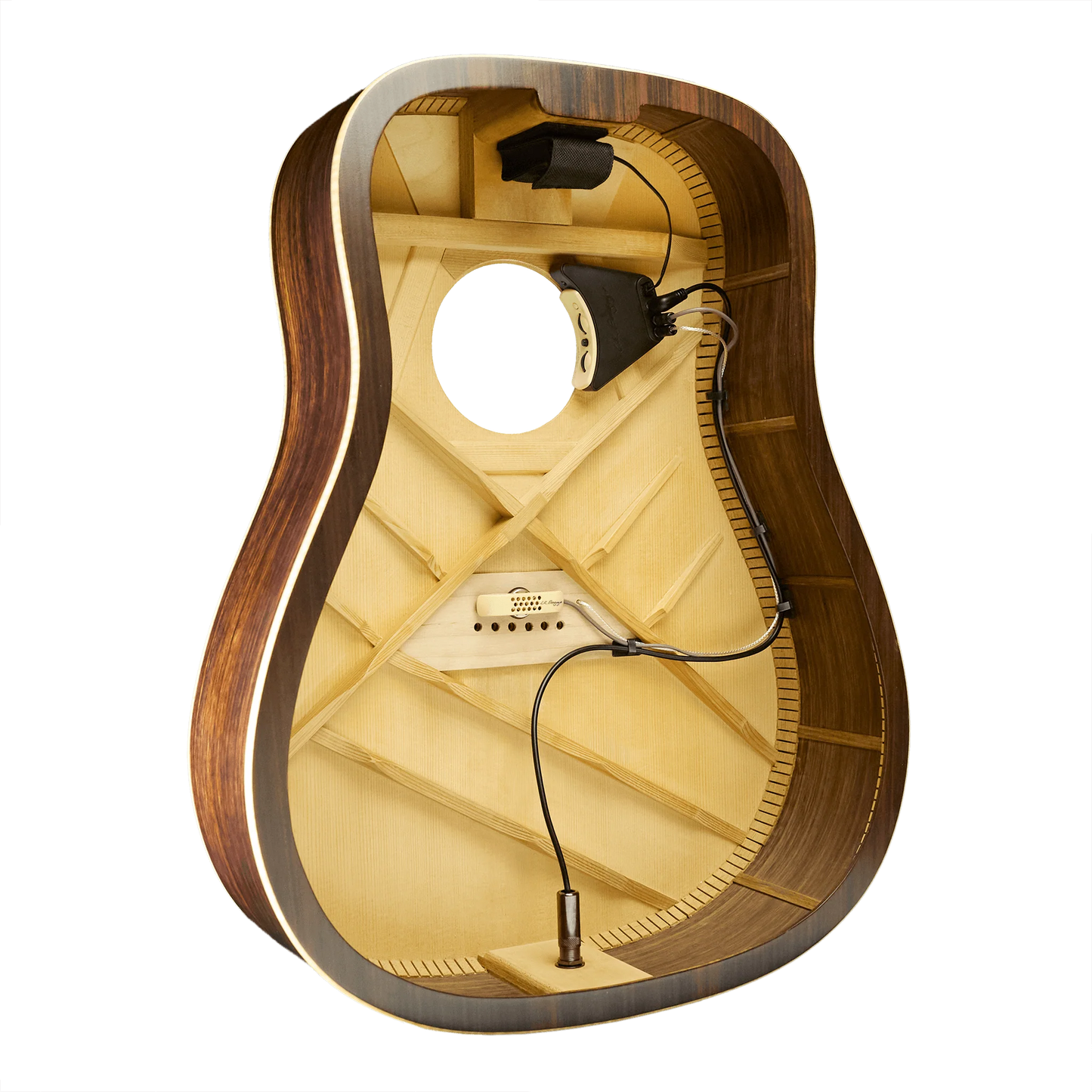 LR BAGGS ANTHEM  Acoustic pickup system