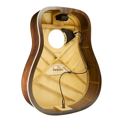 LR BAGGS ANTHEM  Acoustic pickup system