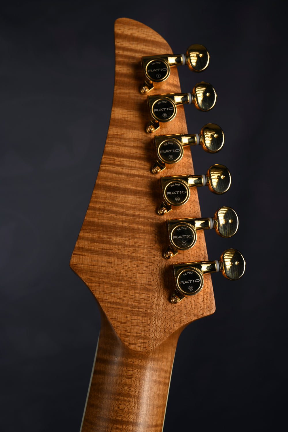 S-TYPE HARDTAIL - ROASTED MAPLE NECK