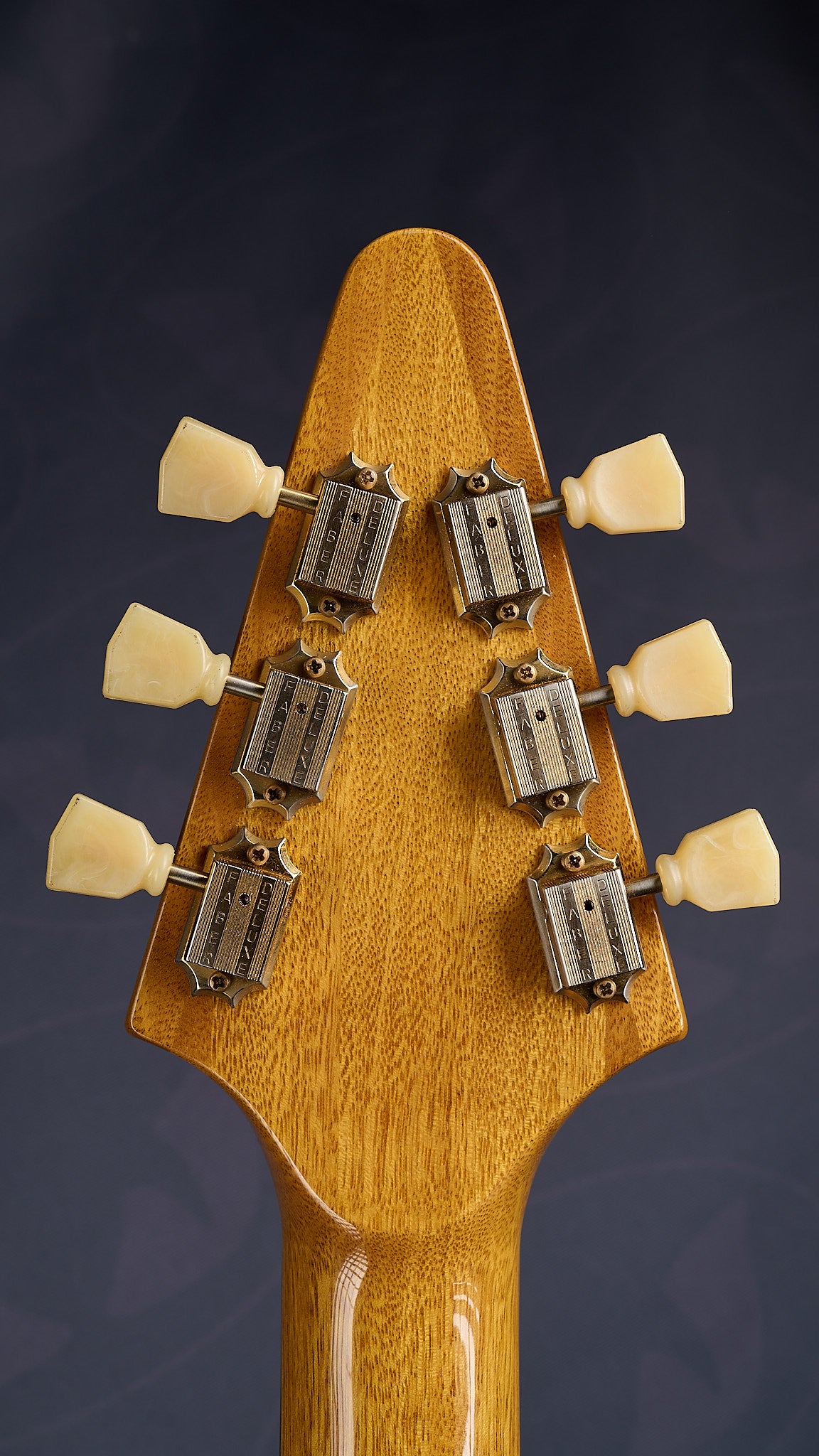 Feline V58 - KORINA (SOMA)