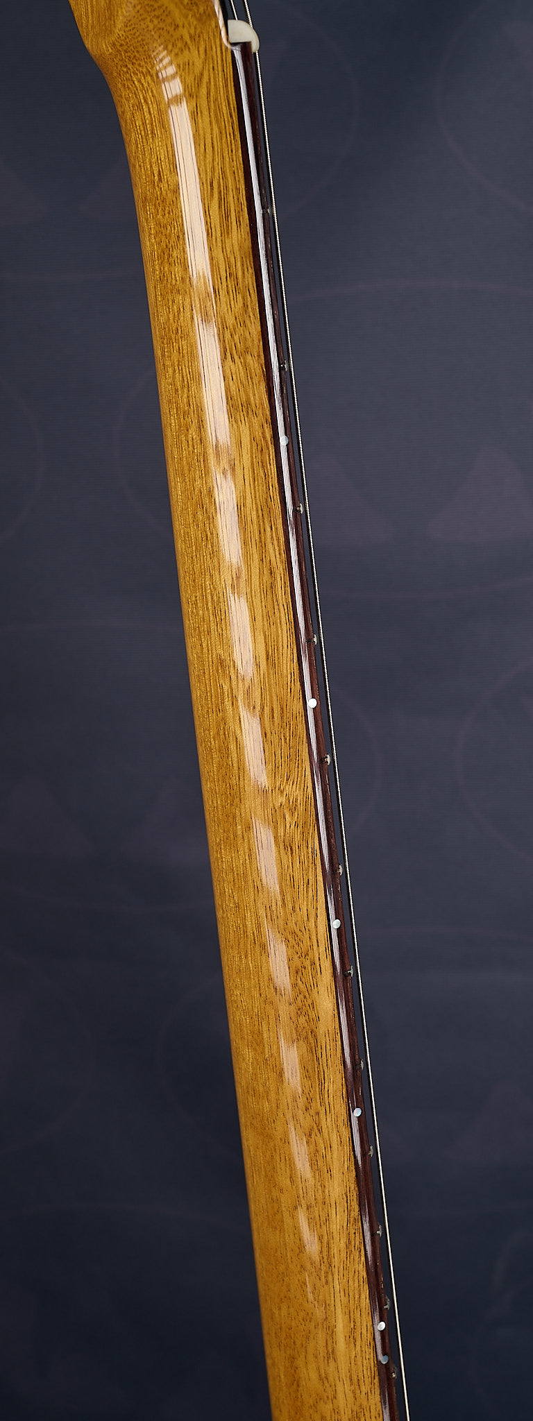 Feline V58 - KORINA (SOMA)