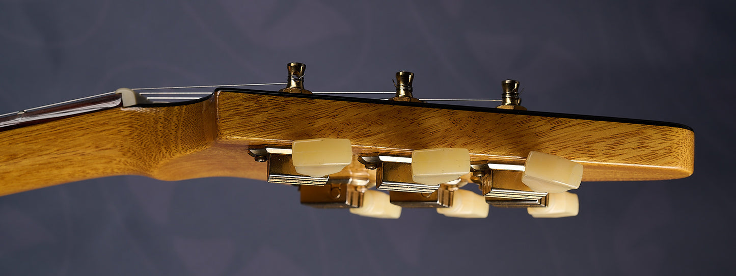 Feline V58 - KORINA (SOMA)