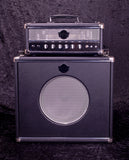 Wolftone W20 head and cab